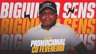 Biguinho Sensação CD NOVO (REPERTORIO NOVO ATUALIZADO FEVEREIRO 2024)