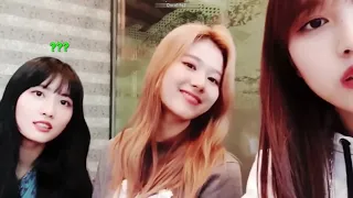 Mina's VLive Adventures: Questionable Things She Does on Live Part-1