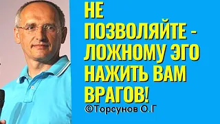 Не позволяйте - Ложному Эго нажить вам врагов! Торсунов лекции