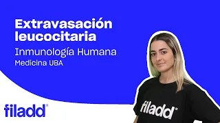 Extravasación leucocitaria | Inmunología | Medicina UBA