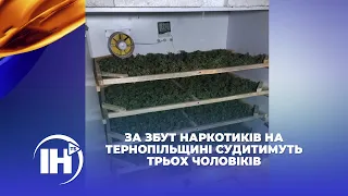 За збут наркотиків на Тернопільщині судитимуть трьох чоловіків