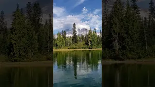 Catching Alpine Brook Trout in Rainier National Park #fishing