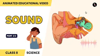 Sound | Class 8 Science Chapter 13 | Part 2/2 | TicTacLearn English | Class 8