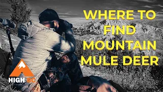 Finding Mountain Mule Deer
