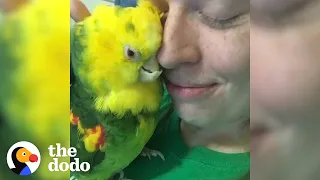 Woman Flies Across Country To Adopt A Bird She’s Never Met | The Dodo