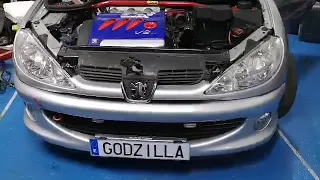 206 v6 Godzilla