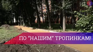 В Подольске проводится работа по организации "народных" троп