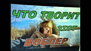 ЭТОТ ВОБЛЕР! ОН ТОЧНО ДЛЯ ЩУКИ!