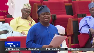 Nigeria's senate uncovers inaccuracies in 2018 budget