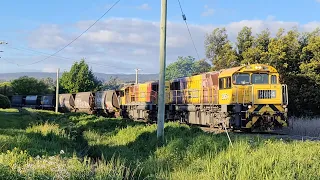 TasRail 2054 2051 #53 train crossing Johnston Road