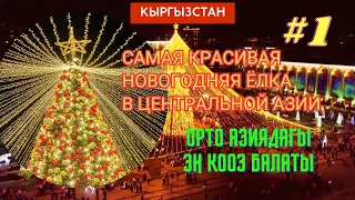 Самая красивая Новогодняя ёлка в Центральной Азии #kyrgyzstan #бишкек #елкановогодняя #елка #балаты