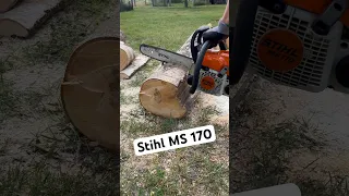 Stihl MS 170 #motorsäge #kettensäge #chainsaw #wood #brennholz #stihl #chainsawstihl #woodworking