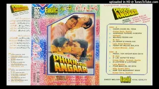 Mujhko Peena Hai Eagle Jhankar   Phool Aur Angaar   M  Aziz