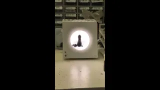 Ferrofluid Dancing Inside Speaker