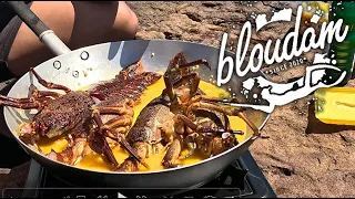 DIVING CRAYFISH - GARLIC, BUTTER and LEMON CATCH COOK on the ROCKS