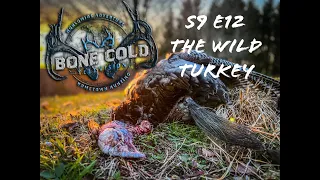 Season 9 Episode 12 The Wild Turkey!  We travel for Merriams and back home and Canada for Easterns!