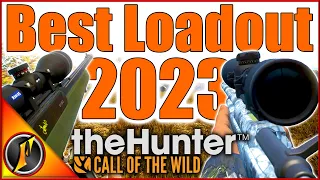 Best Loadout for theHunter Call of the Wild 2023! (DLC & Non-DLC!)