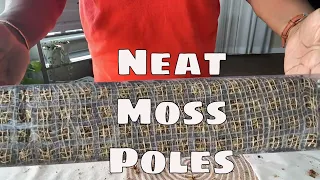 Neat & Easy Moss Poles How I Make / Fill Them & Lessons Learned House Plants on Moss Poles