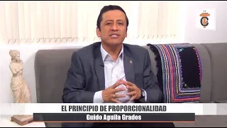 EL PRINCIPIO DE PROPORCIONALIDAD - Tribuna Constitucional 51 - Guido Aguila Grados