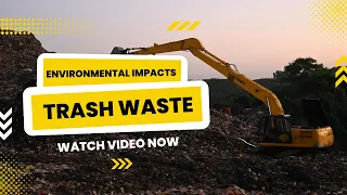 5 Ways Waste Can Impact Our Environment