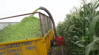 Forage Harvester