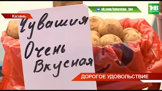 Картошка по цене яблок, морковь по цене евро: цены в Татарстане выросли на 10 процентов | ТНВ