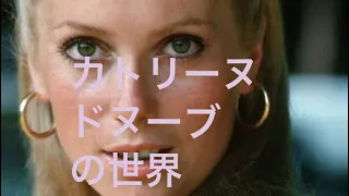 カトリーヌ・ドヌーブの世界 ！恋多き世界的女優！