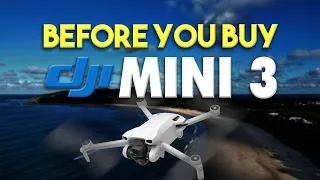 DJI Mini 3 Drone Review: The Ultimate Guide Before You Buy | DansTube.TV