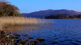 Nature Sounds with Classical Piano Music & Calming Sound of Lapping Water & Soothing Birdsong