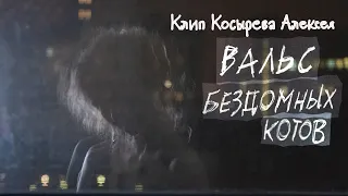 ВАЛЬС БЕЗДОМНЫХ КОТОВ