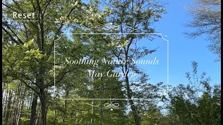 Soothing Nature Sounds /May Garden/ Birdsong, Breeze