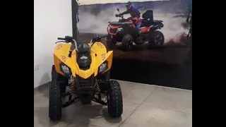 Can-am DS 250