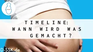 Zeitlicher Schwangerschaftsverlauf: SSW 1 bis 40 ✪ D-SSK.de