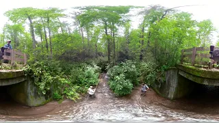 Fly Fishing For Brook Trout