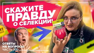 ТОМАТЫ - ГНОМЫ! ПРАВДА ИЛИ МАРКЕТИНГ?! Ответы на вопросы