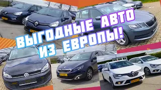 Авто из Европы выгодные авто Skoda Octavia Volkswagen Golf Renault Megane Clio Peugeot 308 Ford Focu