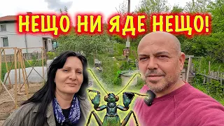 ЖИВОТ НА СЕЛО - отново нещо ни яде нещо в градината.