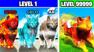 +5 FORMAS DE EVOLUIR MEU GATO PARA O +PODEROSO DO GTA 5!! (Flash-Gato, Gato-Fogo, Gato-Gelo, Gato-Ar