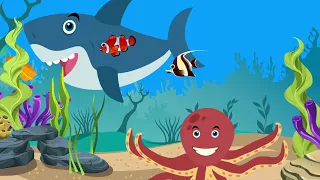 Морские животные- Песенка кита-Развивающие детские песни- Зебра в клеточку -Детские песни и мультики