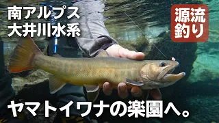 ヤマトイワナの楽園を目指す！〜南アルプス大井川水系の源流釣り～　Beautiful mountain stream fishing in Japan!