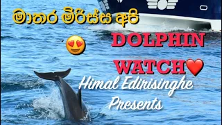 How Dolphins come out in Mirissa😍Must watch❤️#love #srilanka #travel #mirissa #couplegoals #family