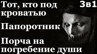 Истории на ночь (3в1): 1.Тот, кто под кроватью, 2.Папоротник, 3.Порча на погребение души