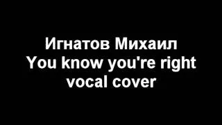 Nirvana - You know you're right (cover)