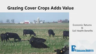 Grazing Cover Crops
