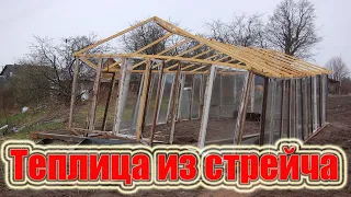 Теплица из стрейча - результаты сезона