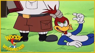 Woody Woodpecker | Birdhounded | Full Episodes