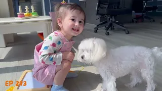 Baby's Snack Time with a Furry Friend! 🍪🐶#Cute #shorts