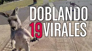 DOBLANDO VIRALES 19  *NUEVO*