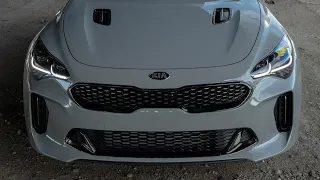 Best Performance Sportback? | 2019 Kia Stinger GT RWD Review | Forrest's Auto Reviews