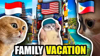 CAT MEMES: THE ULTIMATE FAMILY VACATION FULL COMPILATION